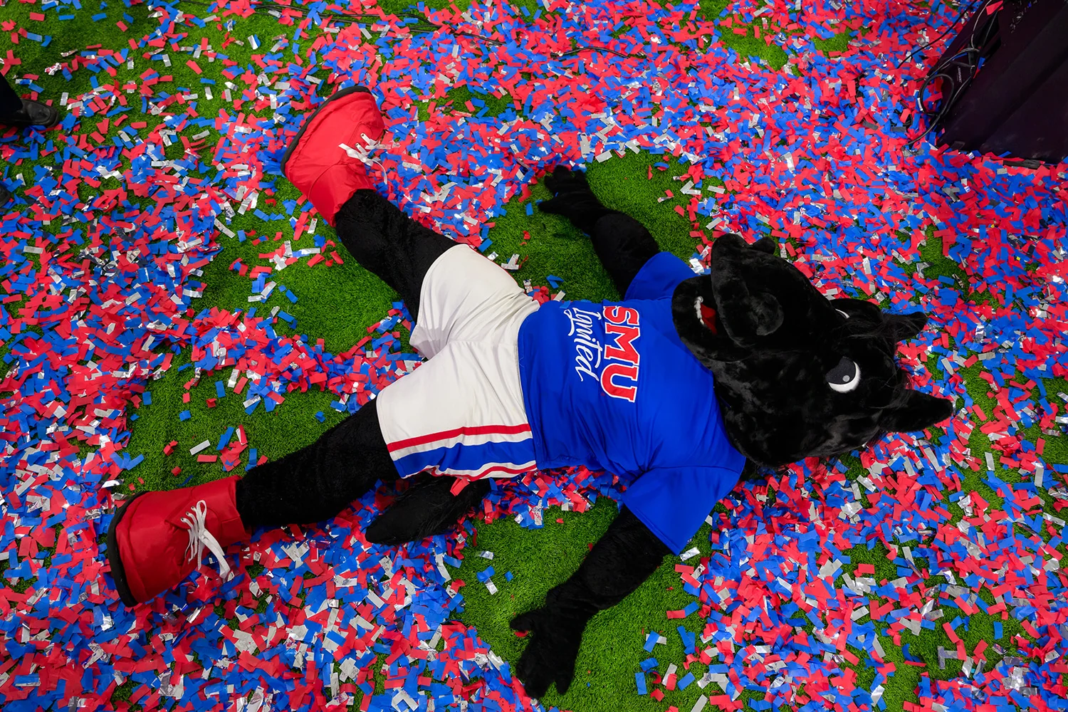 Reinventing SMU's Brand Site Project
